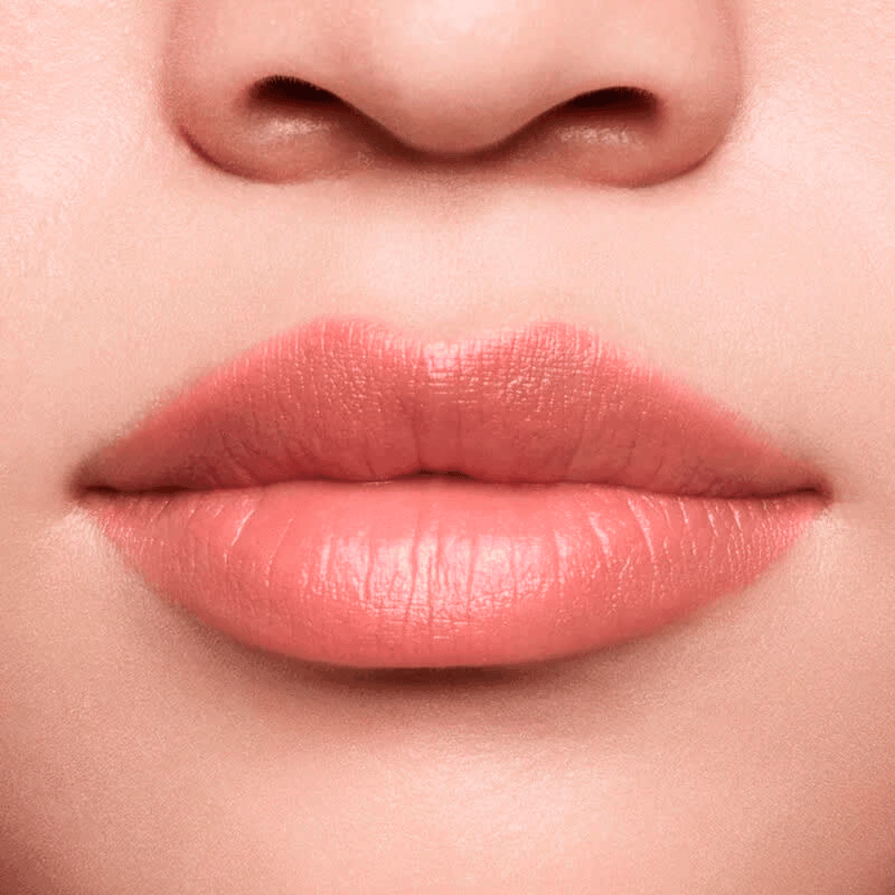 Shiseido Lápis e Primer Labial InkDuo
