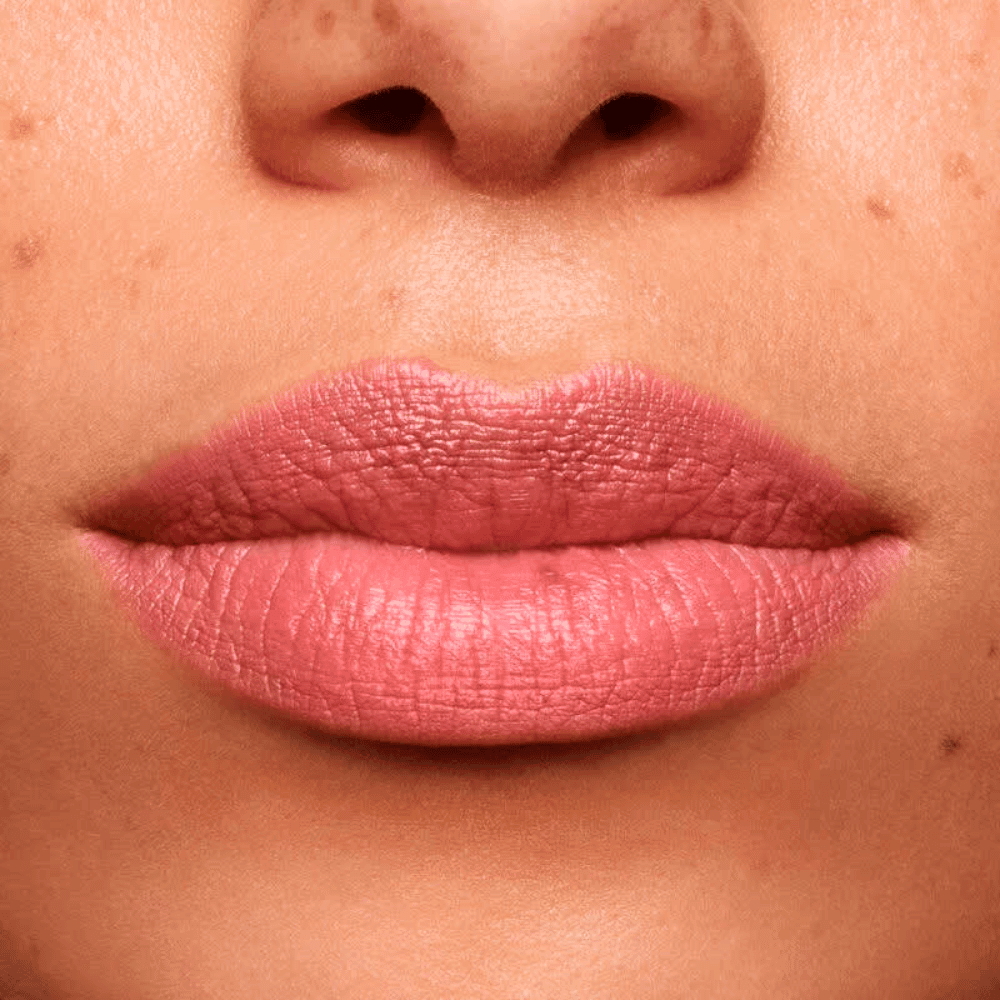 Shiseido Lápis e Primer Labial InkDuo