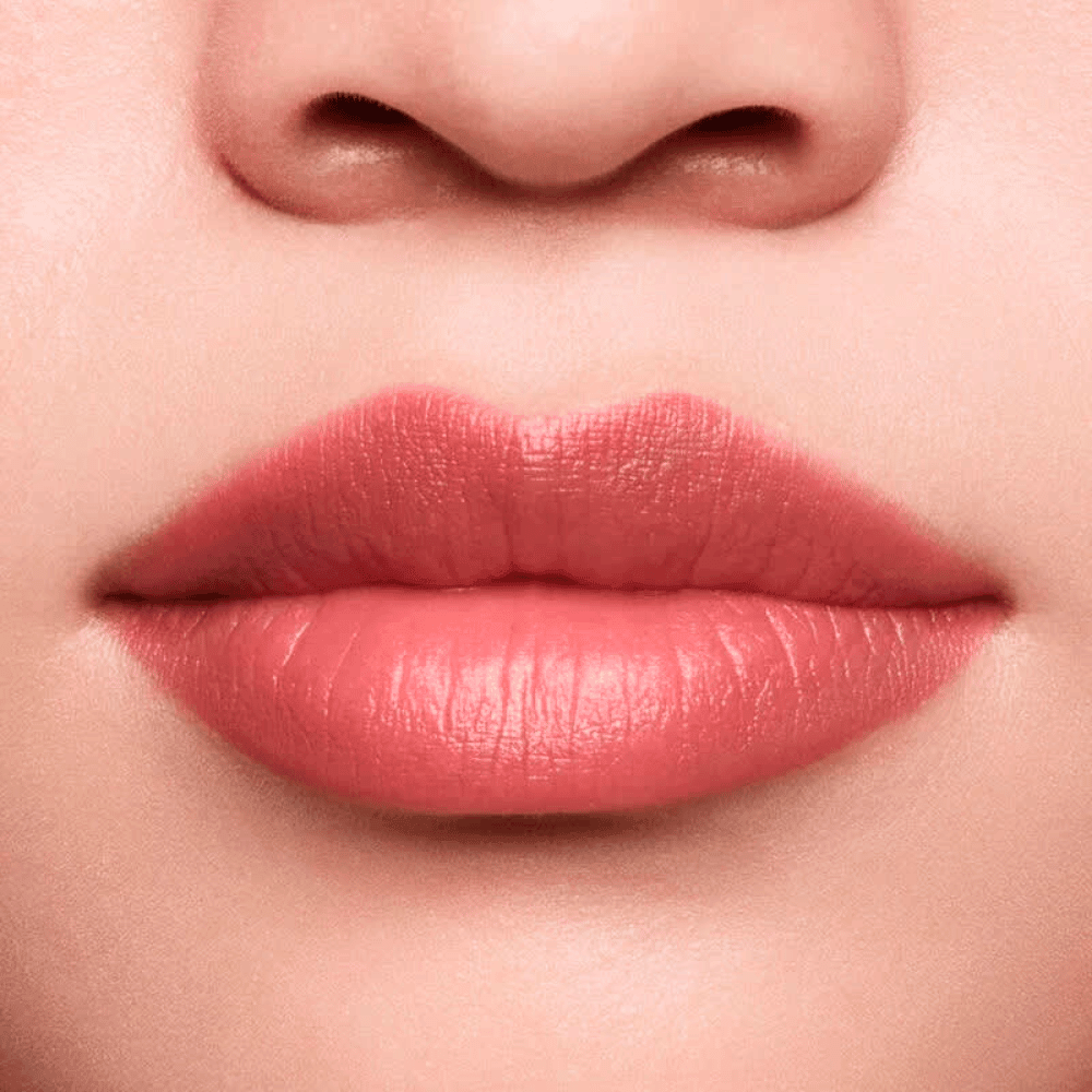 Shiseido Lápis e Primer Labial InkDuo