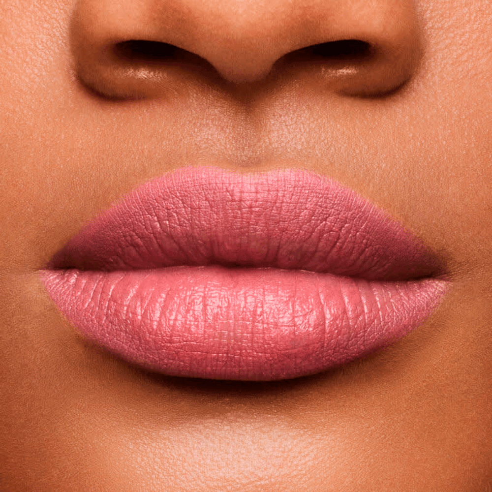 Shiseido Lápis e Primer Labial InkDuo