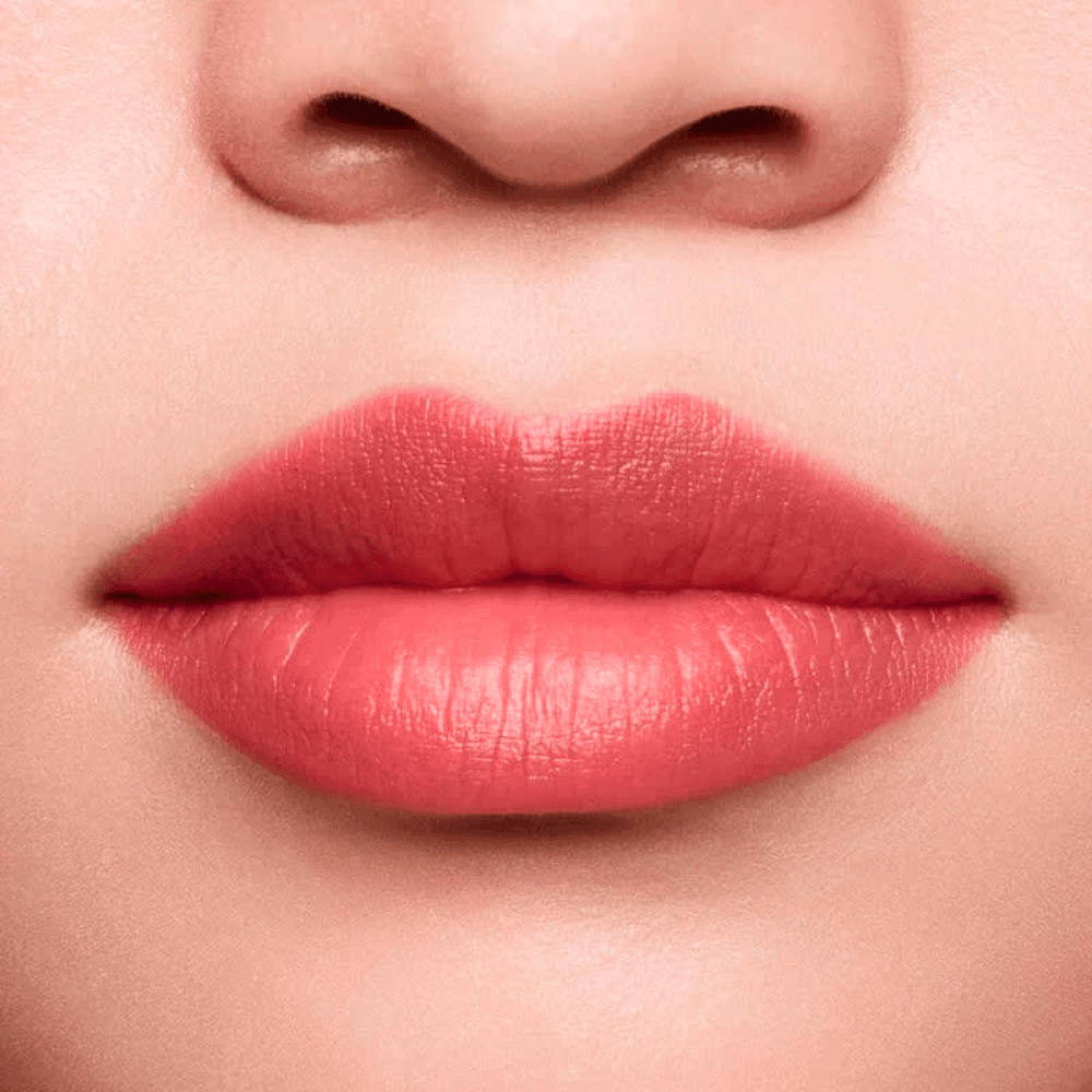 Shiseido Lápis e Primer Labial InkDuo