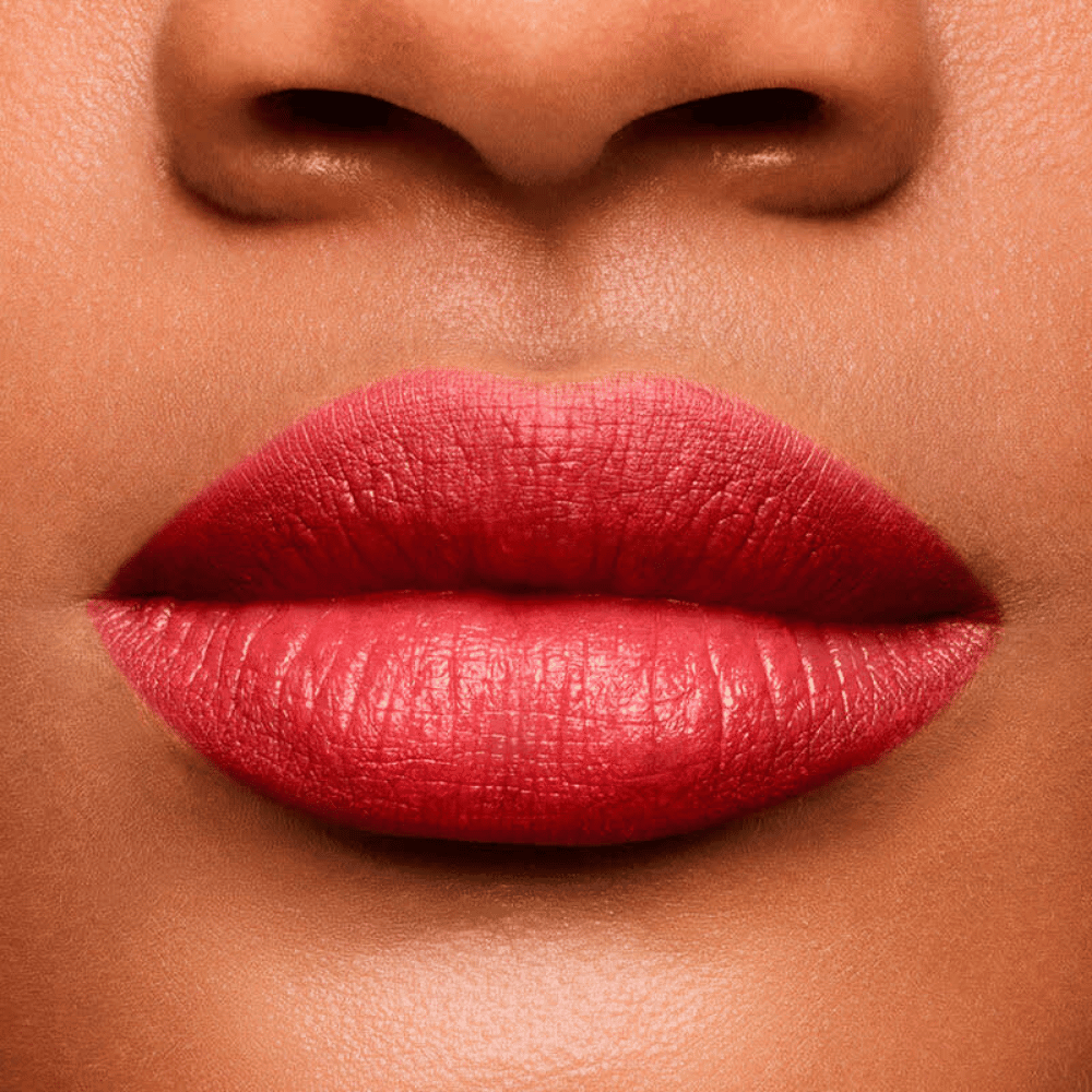 Shiseido Lápis e Primer Labial InkDuo