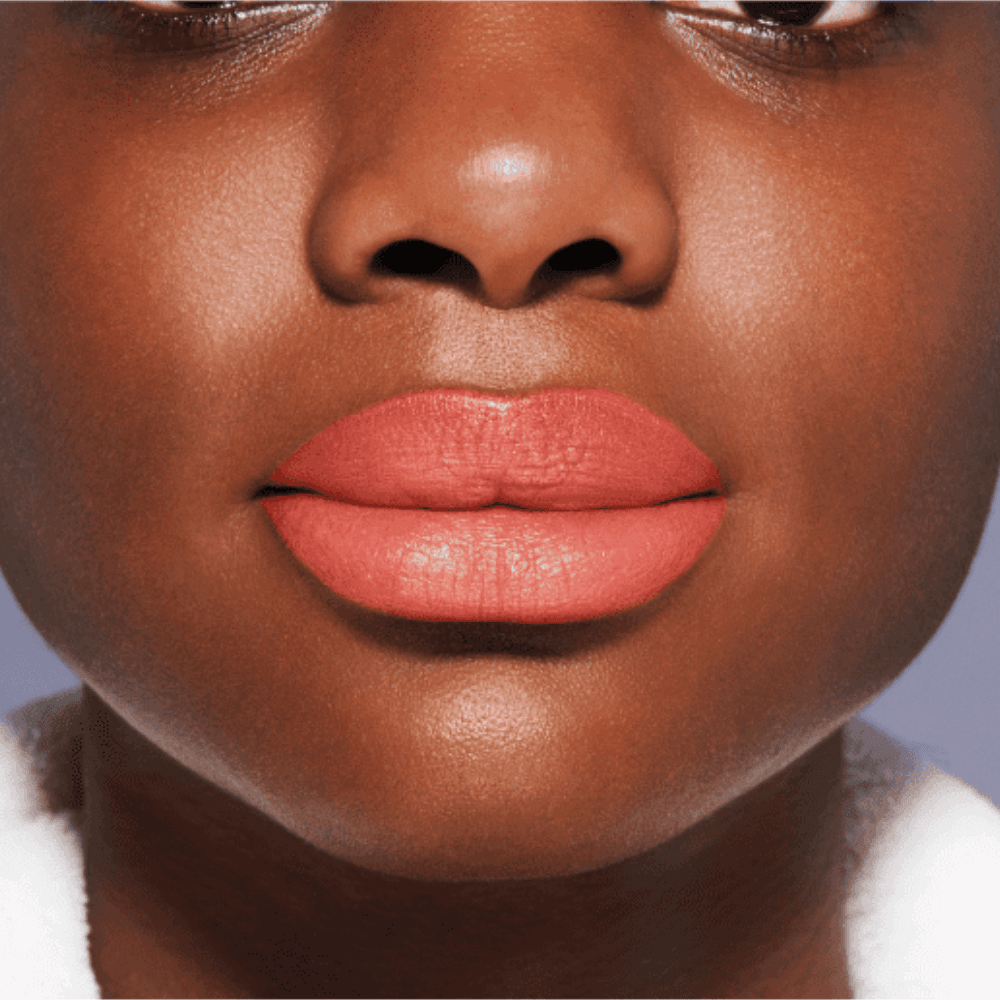 Shiseido Batom em Gel VisionAiry