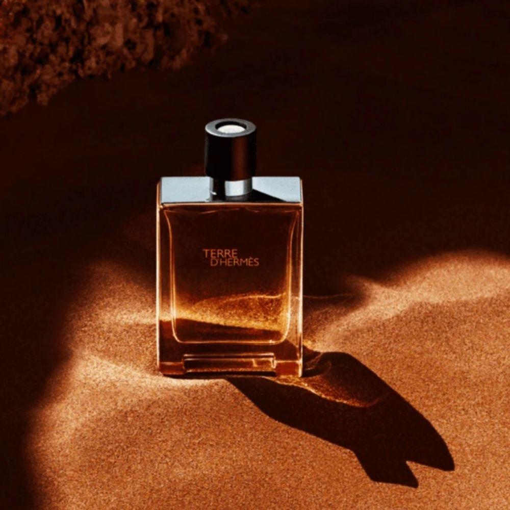 Hermès Kit Terre D'Hermès Eau de Toilette Masculino + Shower Gel