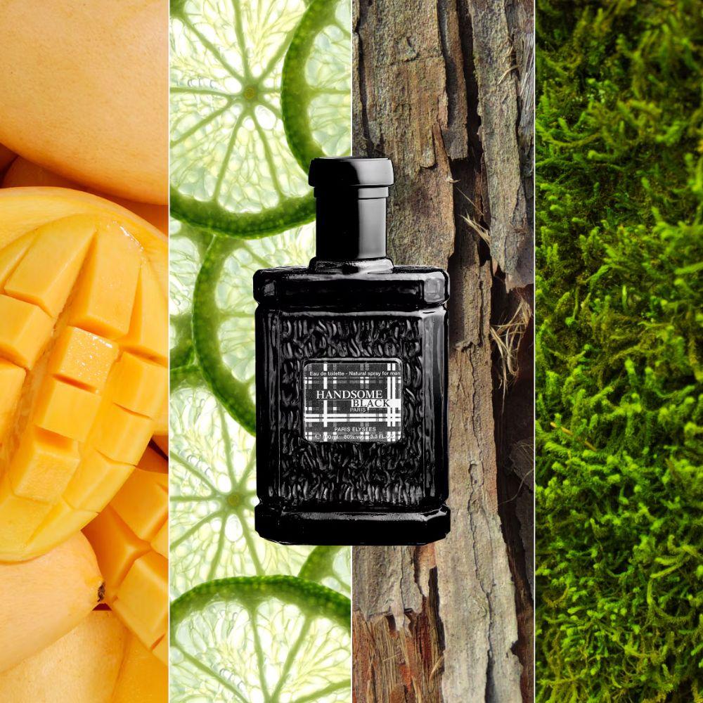 Paris Elysees Handsome Black Eau de Toilette Masculino