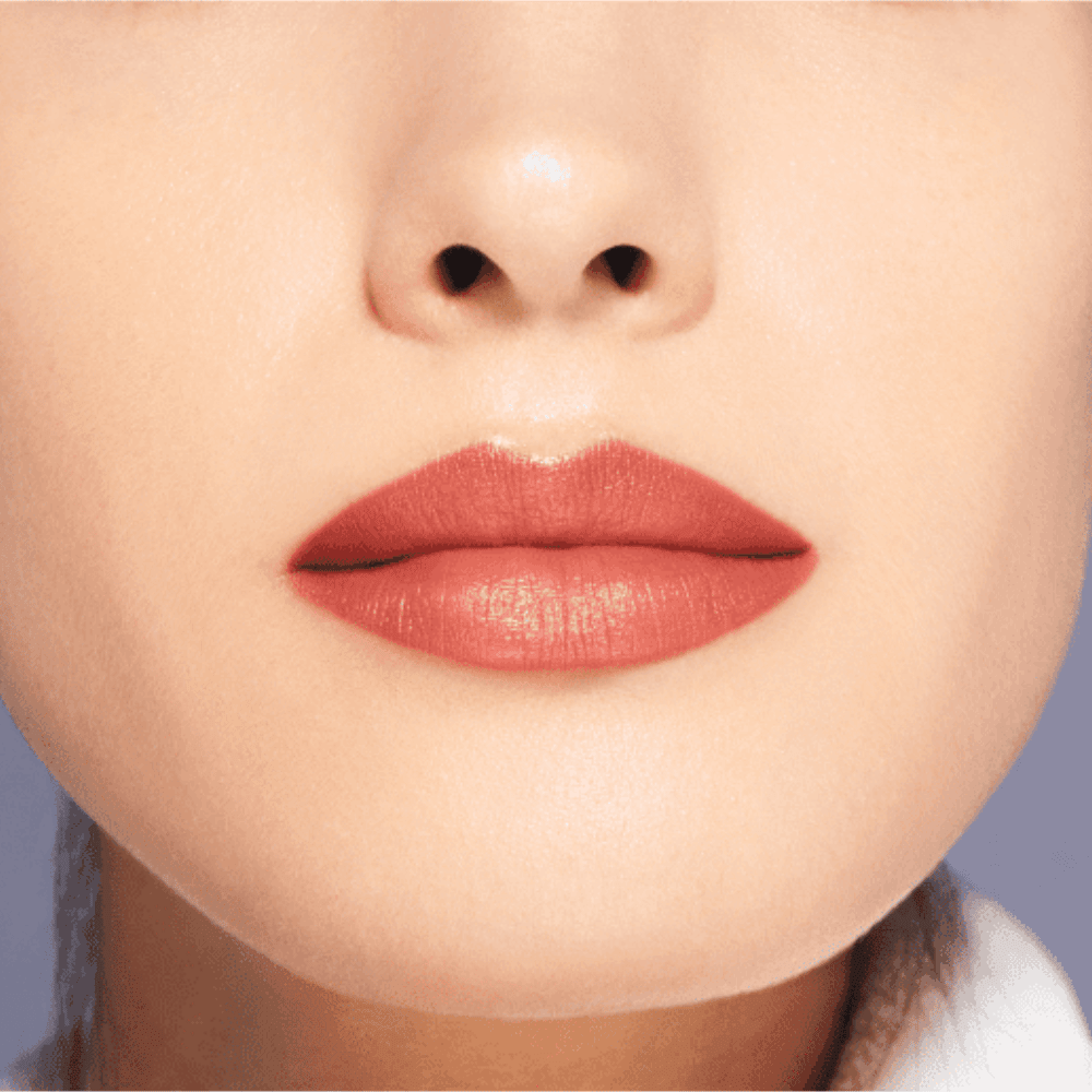 Shiseido Batom em Gel VisionAiry